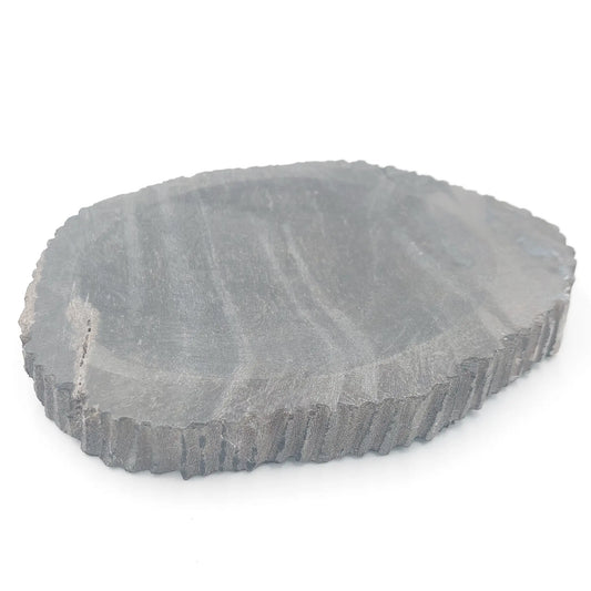 Petrified wood coaster/soap dish, black
