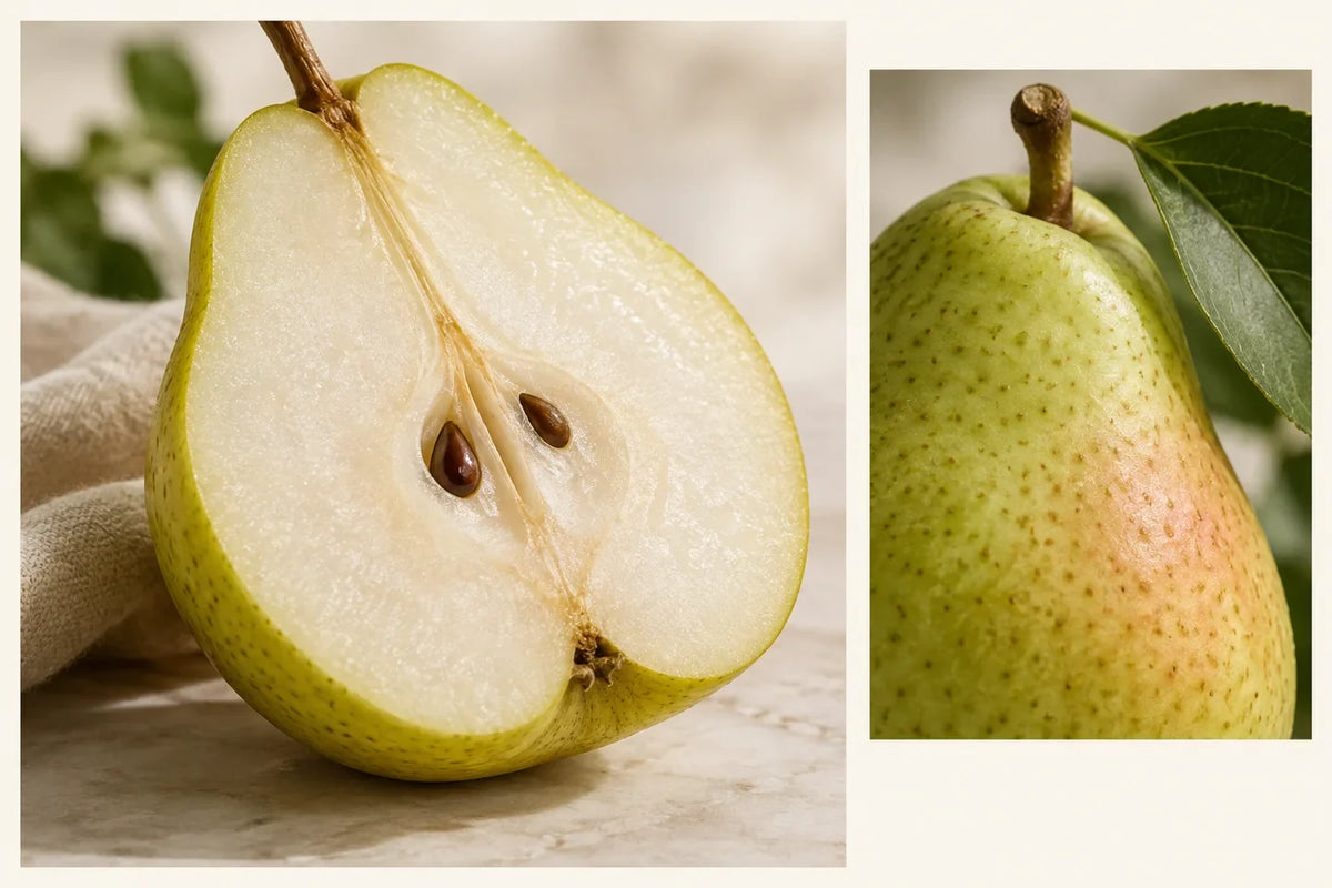 Pear: origins and scent discovery